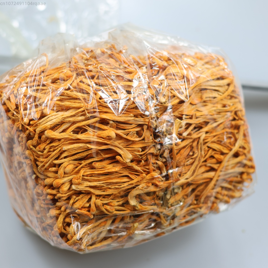 Candle Making Los Angeles - Fleur de Cordyceps séchée naturelle de