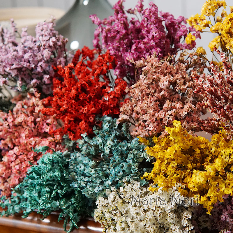 5g/coloré naturel préservé cri - Candle Making Los Angeles avis et prix