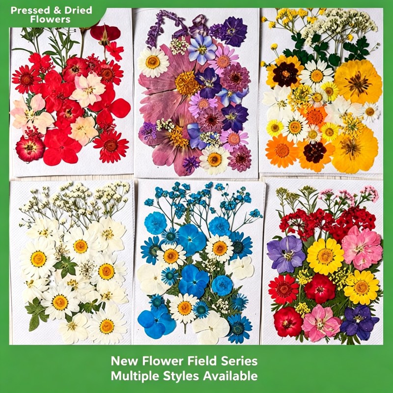 35 pièces, 10 ensembles de fle - Candle Making Scents avis et prix