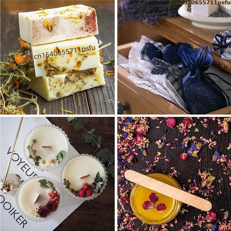 4 types de boutons de rose nat - Candle Making Los Angeles avis et prix